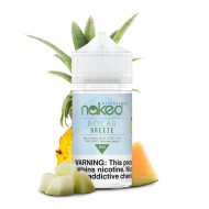 Polar Breeze & Melon Menthol by Naked 100 Ment...